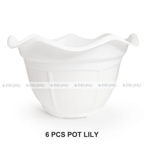 pot-clio-lily25-depan 6