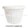 pot-clio-flamboyan30-6